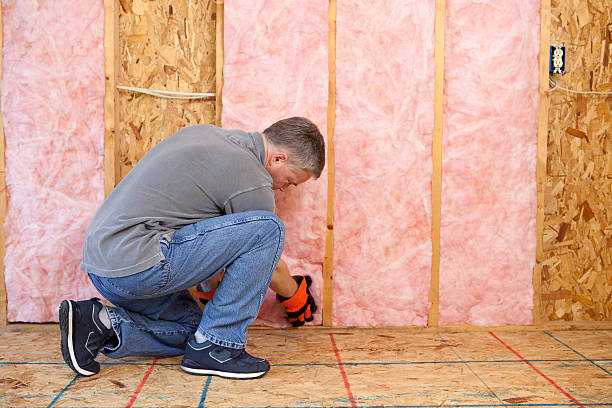 Best Insulation Maintenance and Repair in Buies Creek, NC